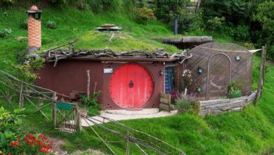 How to discover eco-friendly hotels for sustainable travel