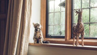 What makes a hotel pet friendly or not