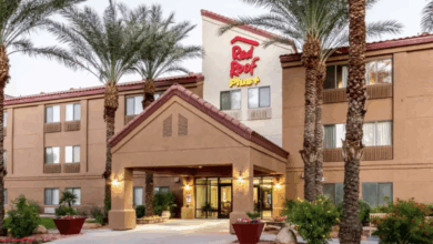 What are the top-rated pet-friendly hotels in major cities