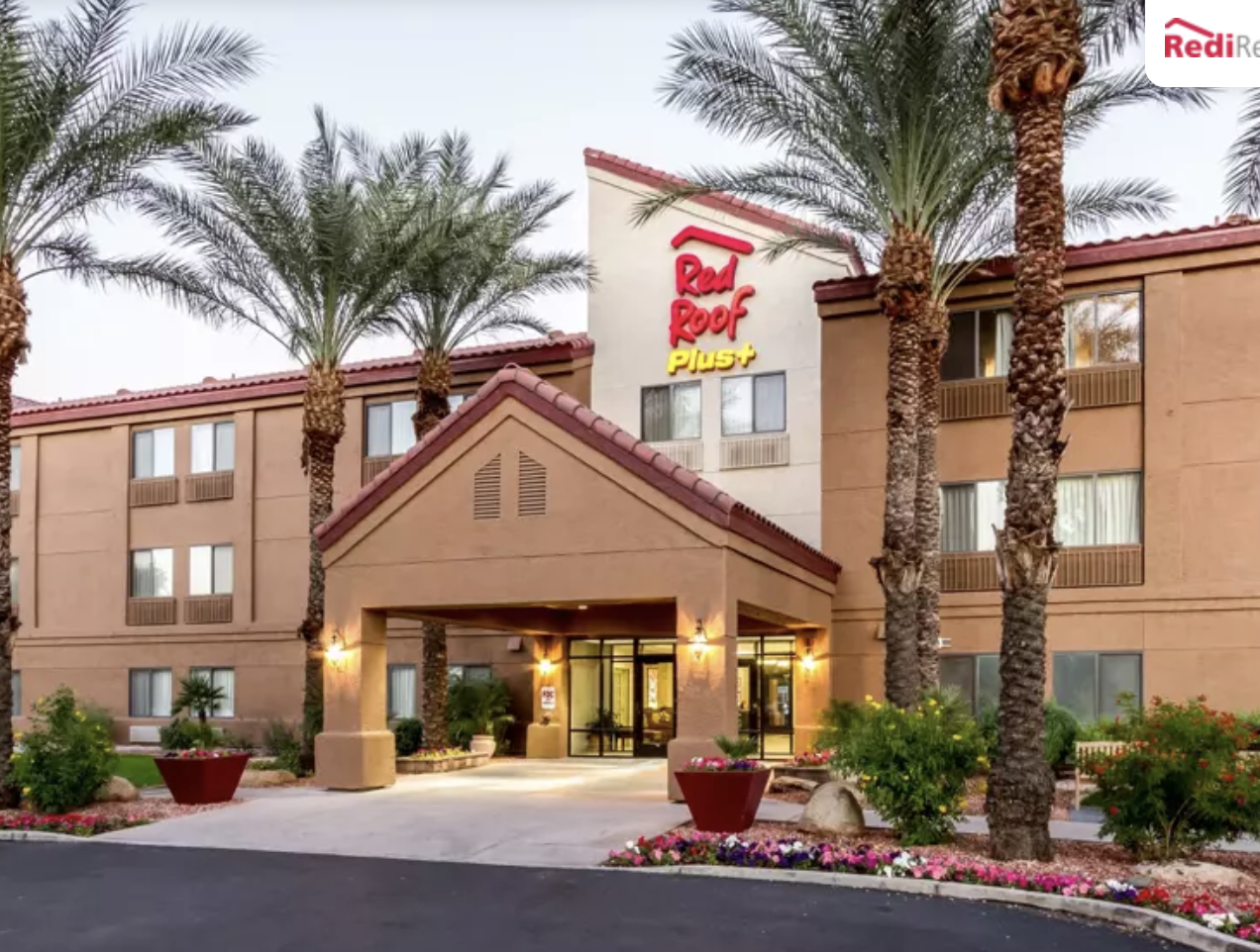 What are the top-rated pet-friendly hotels in major cities